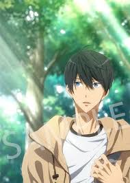 Free Dive To The Future 2019 Calendar Collectible Free Anime Free Iwatobi Splash Free