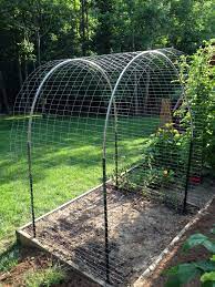 Arched Trellis For Cantaloupe Watermelon And Sugar Pumpkins Took Only 30 Mins To Make Gard Vegetable Garden Design Vertical Vegetable Gardens Arch Trellis