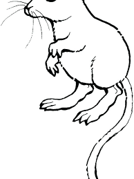 Rat Pdf Coloring Page