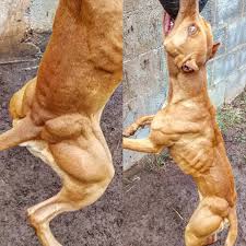 When warmer weather arrives, so do lovely days when you can eat outside. Pin On Favorites