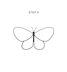 How to draw a butterfly: How To Draw A Butterfly Easy Step By Step Tutorial