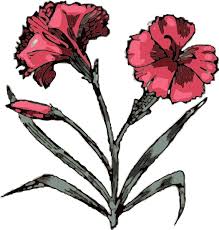 Product is provided in zip format and contains svg files only. Carnation Clip Art Free Vector In Open Office Drawing Svg Svg Vector Illustration Graphic Art Design Format Format For Free Download 623 58kb