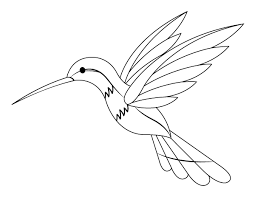 Set off fireworks to wish amer. Printable Hummingbird Coloring Page