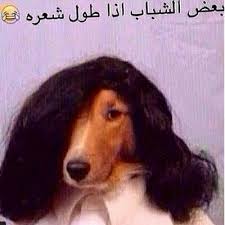 اليوم نعرض لكم مجموعة من نكت سافلة مضحكة للكبار ونكت سافلة للمتزوجين تموت من الضحك لعام 2020 تستطيع التعرف على كل النكت الوقحة الجميلة فقط من خلال موقعنا. ØµÙˆØ± Ù…Ø¶Ø­ÙƒØ© Ø³Ø§Ø®Ø±Ø© Ø¹Ù† Ø§Ù„Ø±Ø¬Ø§Ù„ ØµÙˆØ± Ù…Ø¶Ø­ÙƒØ© Ù†ÙƒØª ÙÙŠØ³ Ø¨ÙˆÙƒ ÙˆØ§ØªØ³ Ø§Ø¨ Ø§Ù†Ø³ØªÙ‚Ø±Ø§Ù… Funny Images