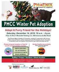 Join angel club halo served 3,573 shelter pets in 2020! Upcoming Rescue And Adoption Events Saving Orphan Souls