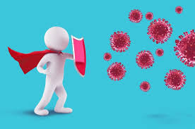 Breaking Down the Layers of the Immune System | School of Medicine