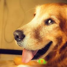Downloading music from the internet allows you to access your favorite tracks on your computer, devices and phones. Stream Cheerful Happy Upbeat Uplifting Cheerful And Upbeat Instrumental Music Free Download By Free Music Listen Online For Free On Soundcloud