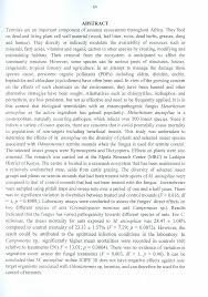 Image result for Rhynchosia usambarensis