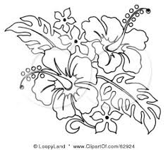 Black And White Orange Blossom Clip Art Pin By Vaide Kurc On Dremel Ideas Flower Line Drawings Flower Drawing Hawaiian Flower Drawing