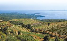 A Dionysian Weekend In Halkidiki Greece Is Wine Tourism Halkidiki Greece Greece