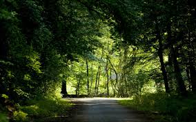 Check out this fantastic collection of nature wallpapers, with 59 nature background images for your desktop, phone or tablet. Best 60 Nature Background On Hipwallpaper Beautiful Nature Wallpaper Awesome Nature Wallpapers And Pretty Nature Wallpaper