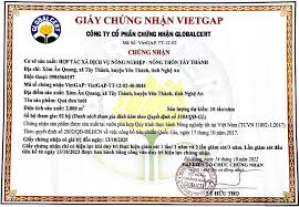 Hiệu quả mô hình “Trồng dưa lưới trong nhà màng đạt tiêu chuẩn VietGAP” tại  xã Tây Thành, huyện Yên Thành