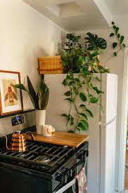 13 vintage kitchen ideas that prove modern isn t always better kitchen plants sweet home home kitchens