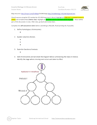 11 4 meiosis flashcards quizlet, biology section 11 4 meiosis worksheet answer key, 013368718x ch11 159 178 biology a, chapter 11 introduction to genetics section 11 4 meiosis, biology chapter 11 4 meiosis answer key, biology section 11 4 meiosis worksheet answer key, 11 1 the process. Essential Biology 4 2 Meiosis Core