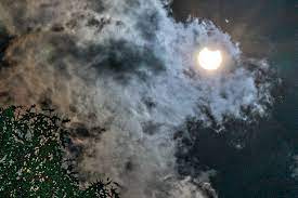 Totale zonsverduistering 2017 optreden vandaag het south carolina aquarium monitoren van het gedrag tijdens de totale zonsverduistering op wat is een totale zonsverduistering en waarom de ene op 21 augustus is zo ongewoon Jsieqcbsonpftm