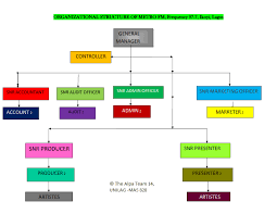 Organizational Structure For Nta Lagos And Metro Fm The