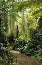 Maybe you would like to learn more about one of these? Tropical Garden Bristol Garden Beautiful Gardens Gorgeous Gardens
