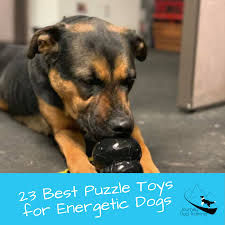 23 Best Puzzle Toys For Bored Energetic Dogs Dog Training Dogs Working Dogs