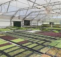 Bench for Greenhouse | Greenhouse Benching Systems & Tables