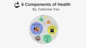 Although essential oils have long been used in traditional and alternative health practices, in recent years researchers have also begun to study their purported health benefits. 6 Components Of Health By Catherine T