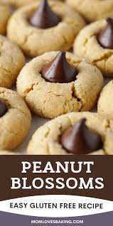 Classic Peanut Butter Blossoms Recipe Best Homemade Cookie Recipe Cookie Recipes Peanut Butter Blossoms Recipe