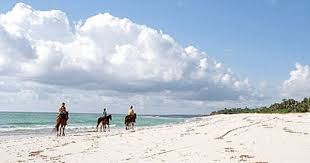 Dar Es Salaam Tanzania Places Worth Visiting International Travel Tanzania