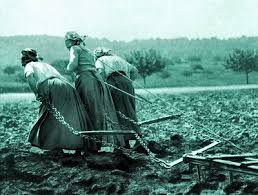 La ferme en'vie est une ferme de production de fruits et légumes biologiques et petit élevage. Le Travail Des Femmes A La Ferme Pendant La Guerre 1914 1918 A L Arriere Aux Champs Labours Betail