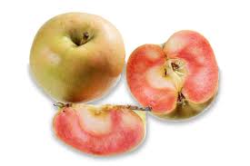 We did not find results for: 25 Types Of Apples Jessica Gavin