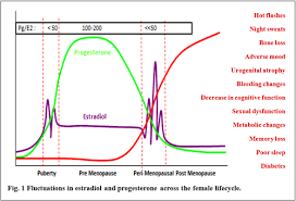 How to naturally increase low testosterone levels? Mood And Menopause Going Through The Change Zrt Laboratory