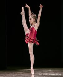 Image result for Baissea leontonori