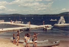 Image result for Elfenbein 1986 Fleet