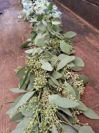 Freshly Harvested Seeded Eucalyptus Garland Seeded Etsy