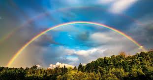 Colors of the rainbow meaning lgbt. Rainbow Meaning On Colors And Memes Answers In Genesis