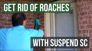 Chkcarddo my own pest control. How To Use Suspend Sc Insecticide To Get Rid Of Roaches Youtube