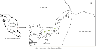 Maybe you would like to learn more about one of these? Pdf Selective Isolation Of Actinomycetes From Mangrove Forest Of Pahang Malaysia Semantic Scholar