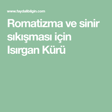 Romatizma Ve Sinir Sikismasi Icin Isirgan Kuru Saglikli Yasam Beslenme Saglikli Tarifler