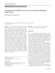 Image result for Carex cyrtosaccus