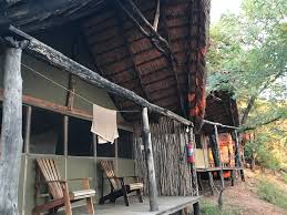 Image result for Vangueriopsis lanciflora