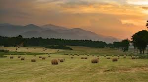 Sur les premiers contreforts des pyrénées, à 1000 mètres d'altitude, notre village est situé sur le plateau de sault au cœur du pays cathare et de ses châteaux forteresses. Pays De Sault Wikipedia