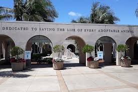 North county is well known for its affluence, especially in encinitas, carlsbad, del mar, rancho santa fe. Rancho Bernardo Man With 84 Cockatiels Fights San Diego Humane Society San Diego Reader