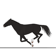 Horse Galloping Gif Google Search Cavalos Desenhos Animacao