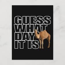 So all the old people at work are obsessed with this commercial. Personalized Humpday Camel Gifts On Zazzle