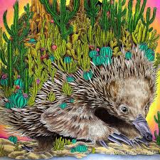 Karen Stivala On Instagram New Video Link In Bio Meet Edwina Sister To My Resident Echidna Here On Th Echidna Coloring Book Art Artist Inspiration