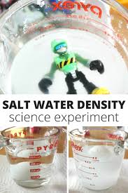 Salt Water Density Experiment For Kids Science Experiments Kids Science For Kids Science Experiments
