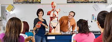About 57,500 americans worked in this occupation in 2016. Health Education For Teachers Santa Clara University