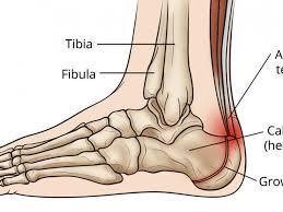 What is the diagnosis of foot pain? Topographical Anatomy Of The Foot And Ankle Lateral Aspect And Nerves
