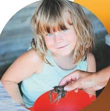 En tradition som griper tag... krätfisket är bättre än julafton!