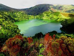 Poço da ribeira do ferreiro. Flores Island Azores