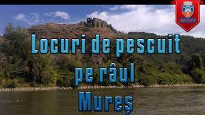 Aceste lacuri sunt relativ mici în dimensiune și destul de rare în ceea ce privește apariția. Locuri De Pescuit Pe Raul Mures Arad Youtube