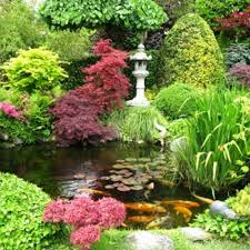 Les prêles japonaises sont des plantes vivaces à tiges creuses et à silhouette très graphique, qui se plairont parfaitement en zone nom vernaculaire : Le Jardin Zen Vous Invite A Vous Relaxer Et A Mediter Retrouvez Le Charme Et La Quietude D Un Jardin Depay Japanese Garden Japanese Garden Design Asian Garden